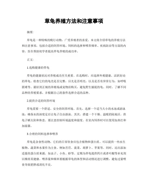 草龟养殖方法和注意事项