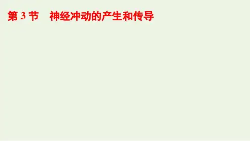 新教材高中生物第2章神经调节第3节神经冲动的产生和传导ppt课件新人教版选择性必修1