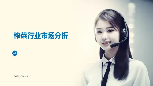 榨菜行业市场分析