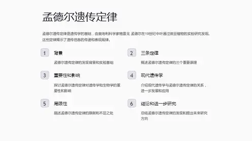 孟德尔遗传定律