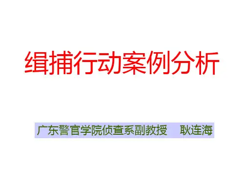 抓捕行动案例分析 PPT课件