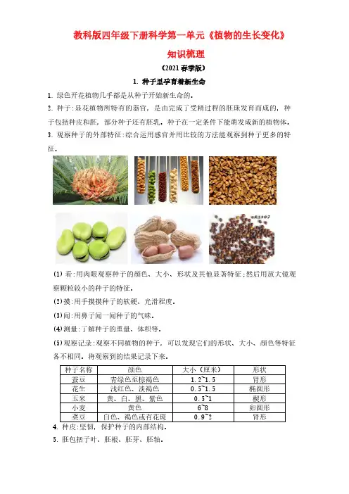新教科版四年级下册科学第一单元《植物的生长变化》知识点梳理