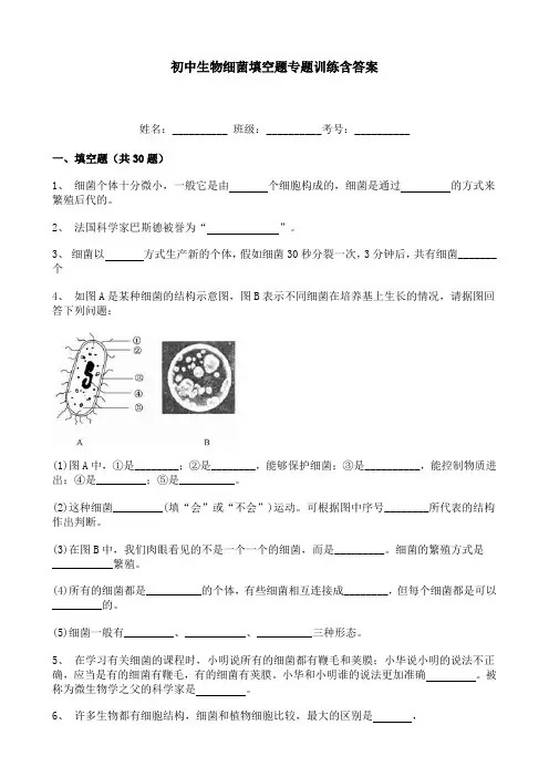 初中生物细菌填空题专题训练含答案