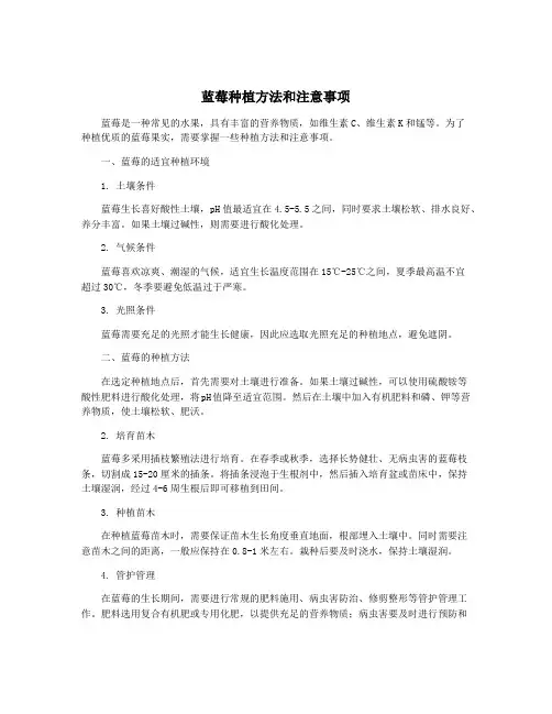 蓝莓种植方法和注意事项