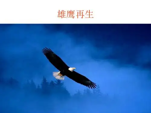 雄鹰再生ppt
