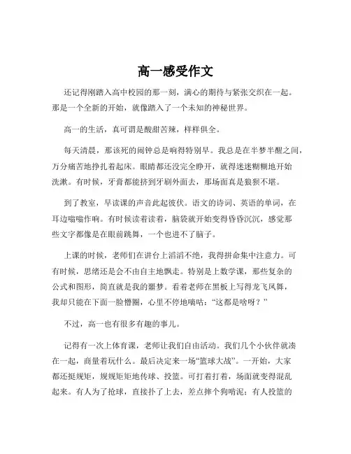 高一感受作文