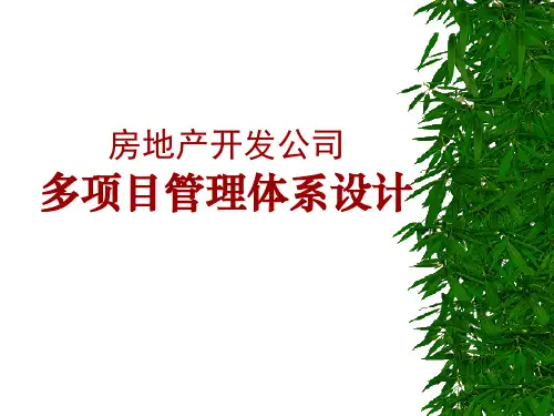 房地产开发多项目管理体系