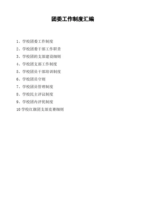 团委工作制度汇编