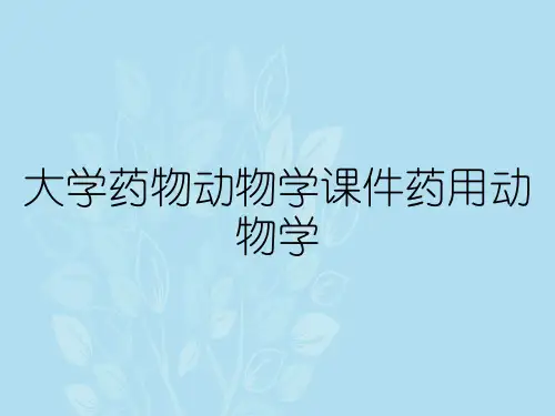 大学药物动物学课件药用动物学