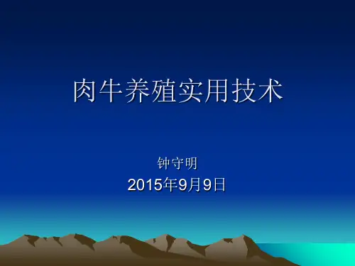 肉牛养殖实用技术 ppt课件