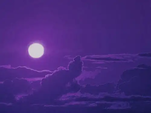 一年级语文下册课件8静夜思2部编版共14张PPT