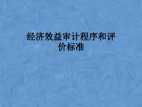 经济效益审计程序和评价标准