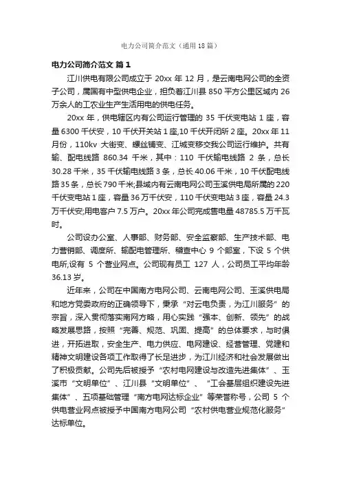 电力公司简介范文（通用18篇）