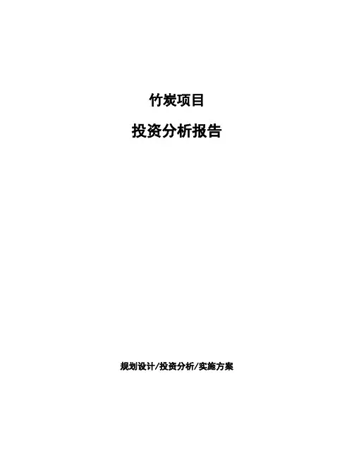竹炭项目投资分析报告