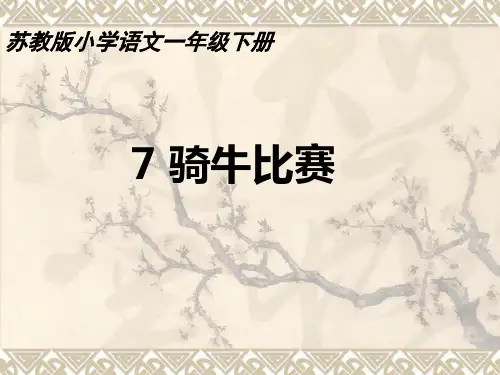 骑牛比赛