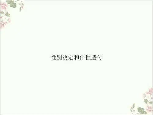 性别决定和伴性遗传PPT.