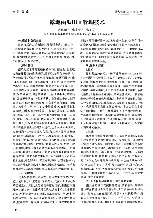 露地南瓜田间管理技术