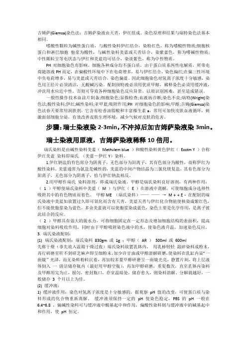 瑞氏吉姆萨和NBT染色
