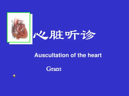 心脏查体听诊