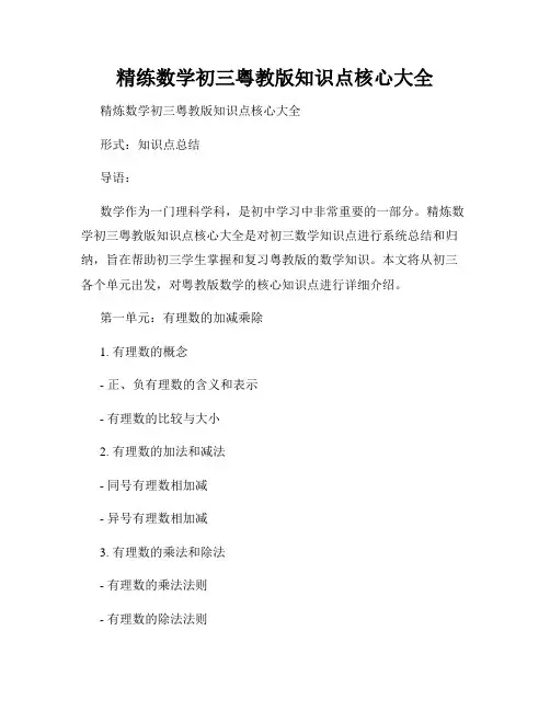 精练数学初三粤教版知识点核心大全
