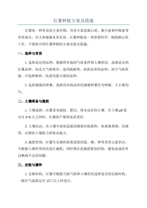 红薯种植方案及措施
