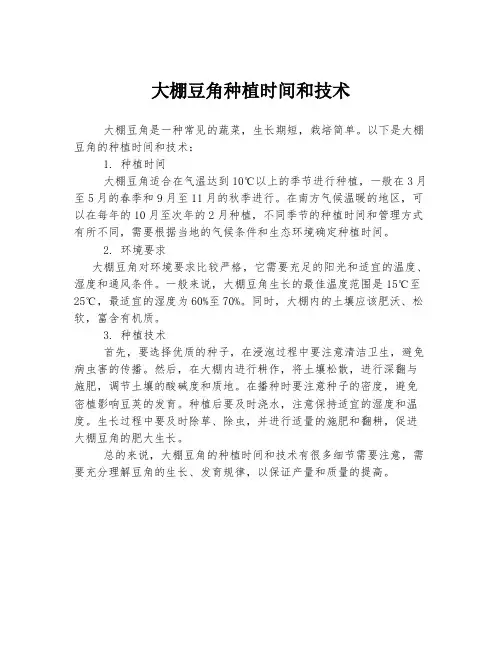 大棚豆角种植时间和技术