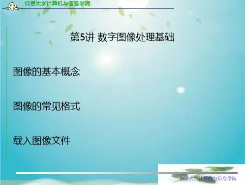 数字图像处理基础图像的基本概念图像的常见格式载入图像