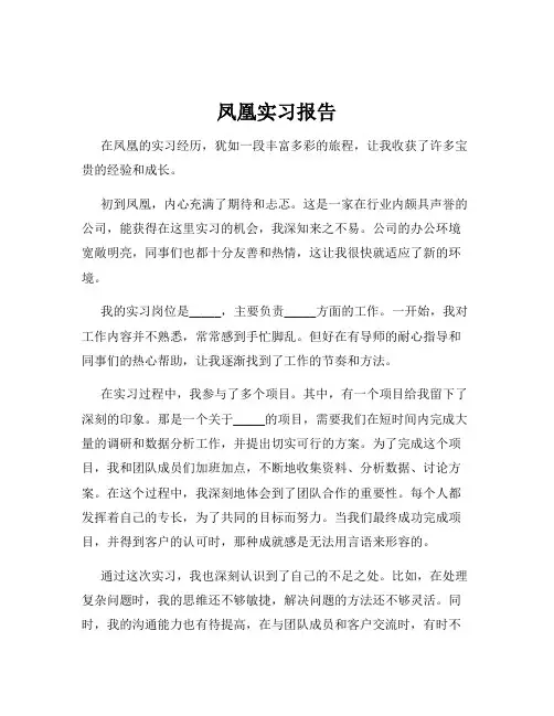凤凰实习报告