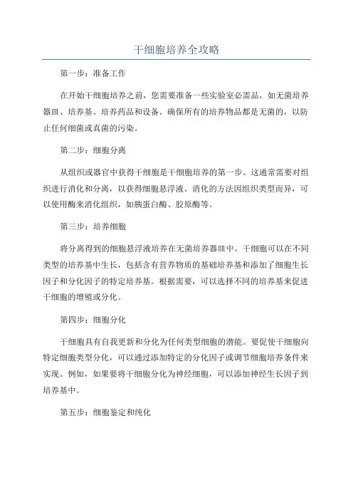 干细胞培养全攻略
