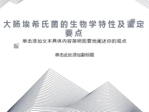 大肠埃希氏菌的生物学特性及鉴定要点