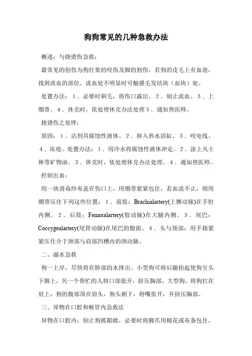 狗狗常见的几种急救办法.doc