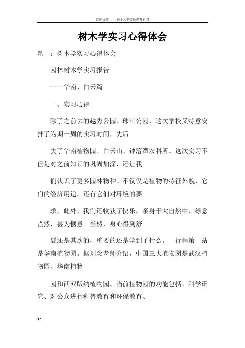树木学实习心得体会