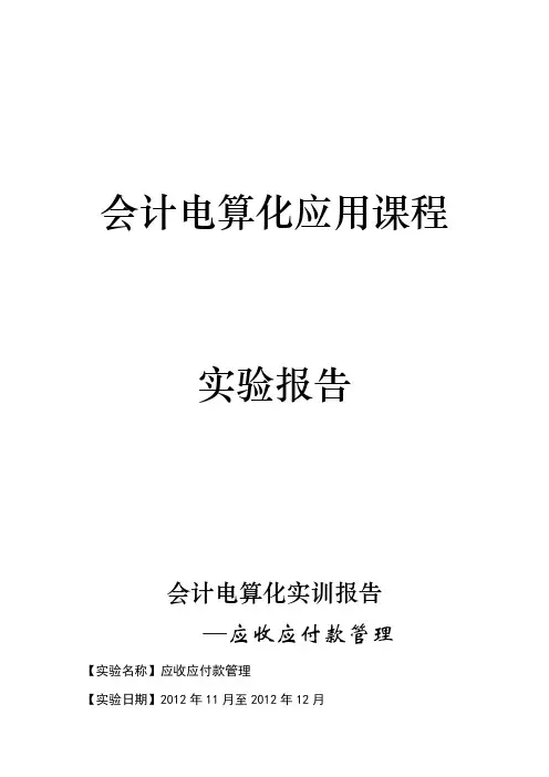 会计电算化实训报告3