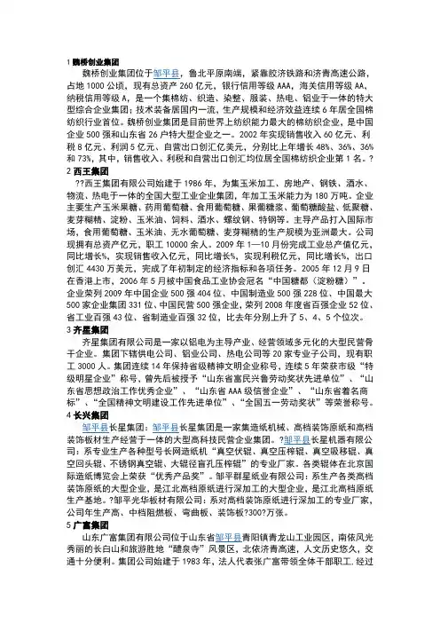 邹平十大企业