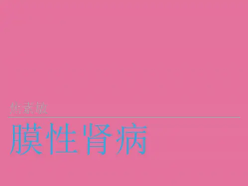 《膜性肾病》ppt课件