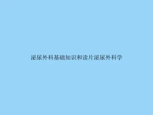 泌尿外科基础知识和读片泌尿外科学文档