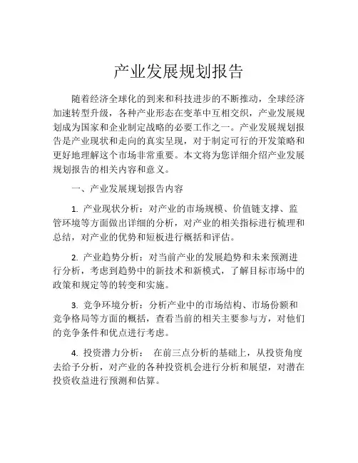 产业发展规划报告