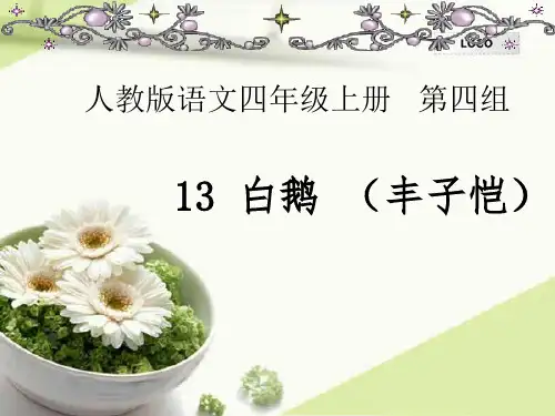 人教版语文四年级上册   第四组   13 白鹅 (丰子恺)