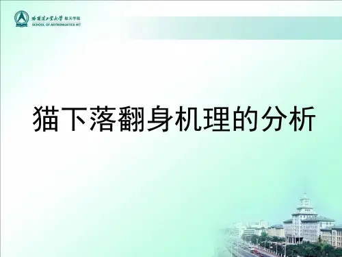 理论力学(11.5)--猫下落翻身机理分析