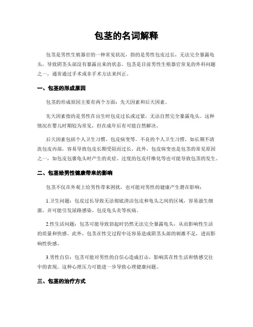 包茎的名词解释