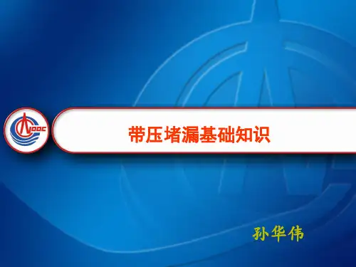 带压堵漏技术PPT课件