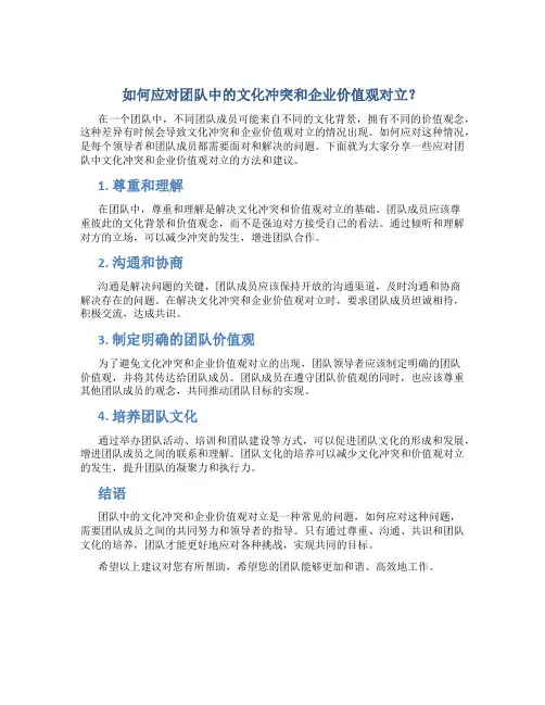 如何应对团队中的文化冲突和企业价值观对立？