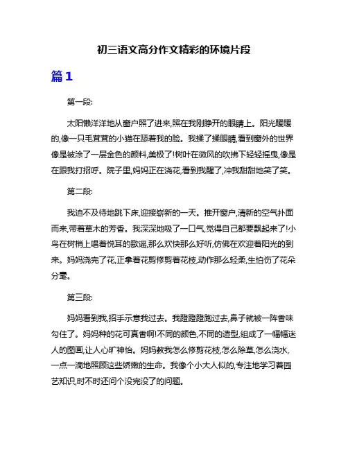 初三语文高分作文精彩的环境片段