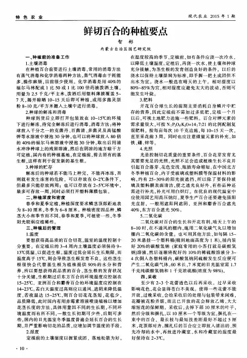 鲜切百合的种植要点