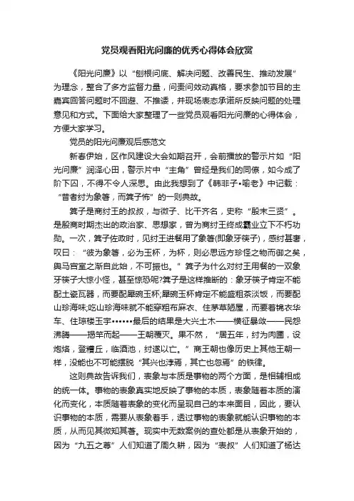 党员观看阳光问廉的优秀心得体会欣赏