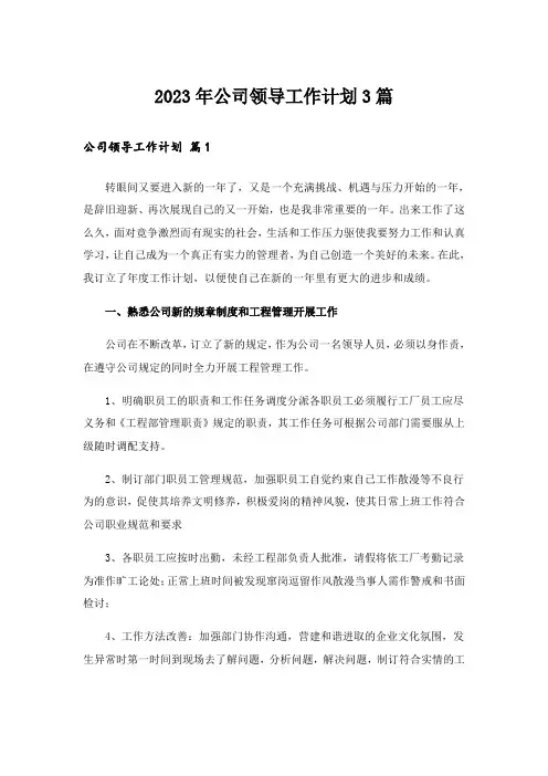 2023年公司领导工作计划3篇