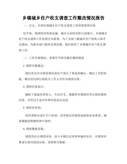 乡镇城乡住户收支调查工作整改情况报告