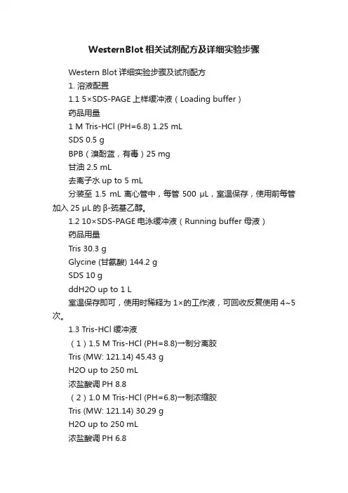WesternBlot相关试剂配方及详细实验步骤