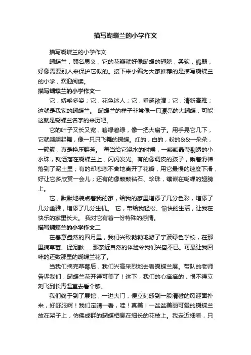 描写蝴蝶兰的小学作文