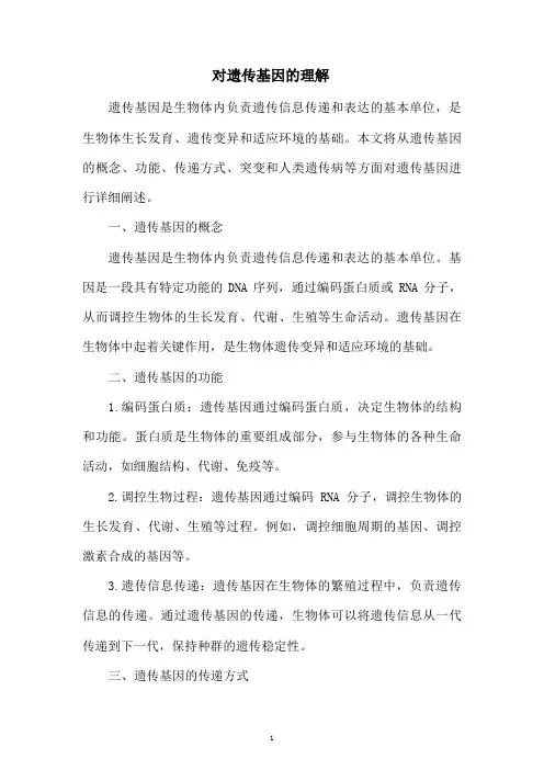对遗传基因的理解